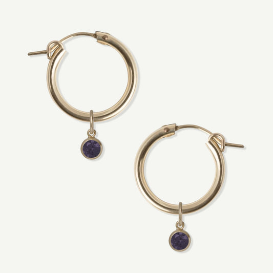LucyKitty Gold Filled Removable Charms Violet Hoop Earrings