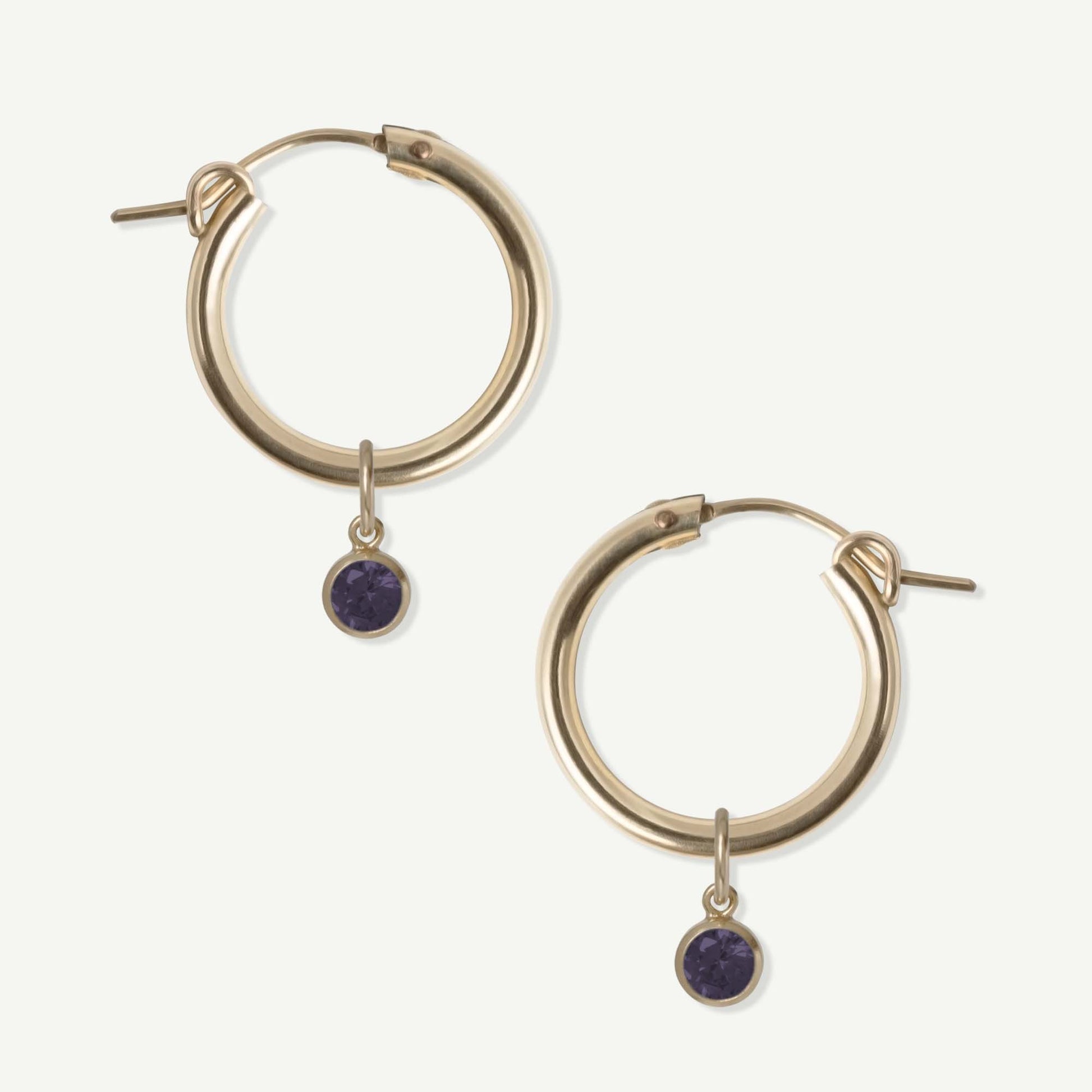 LucyKitty Gold Filled Removable Charms Violet Hoop Earrings