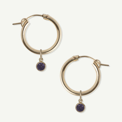 LucyKitty Gold Filled Removable Charms Violet Hoop Earrings