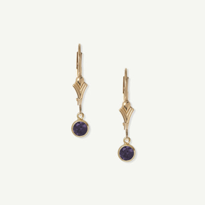 LucyKitty Gold Filled Flora Birthstone Leverback Earrings February Amethyst