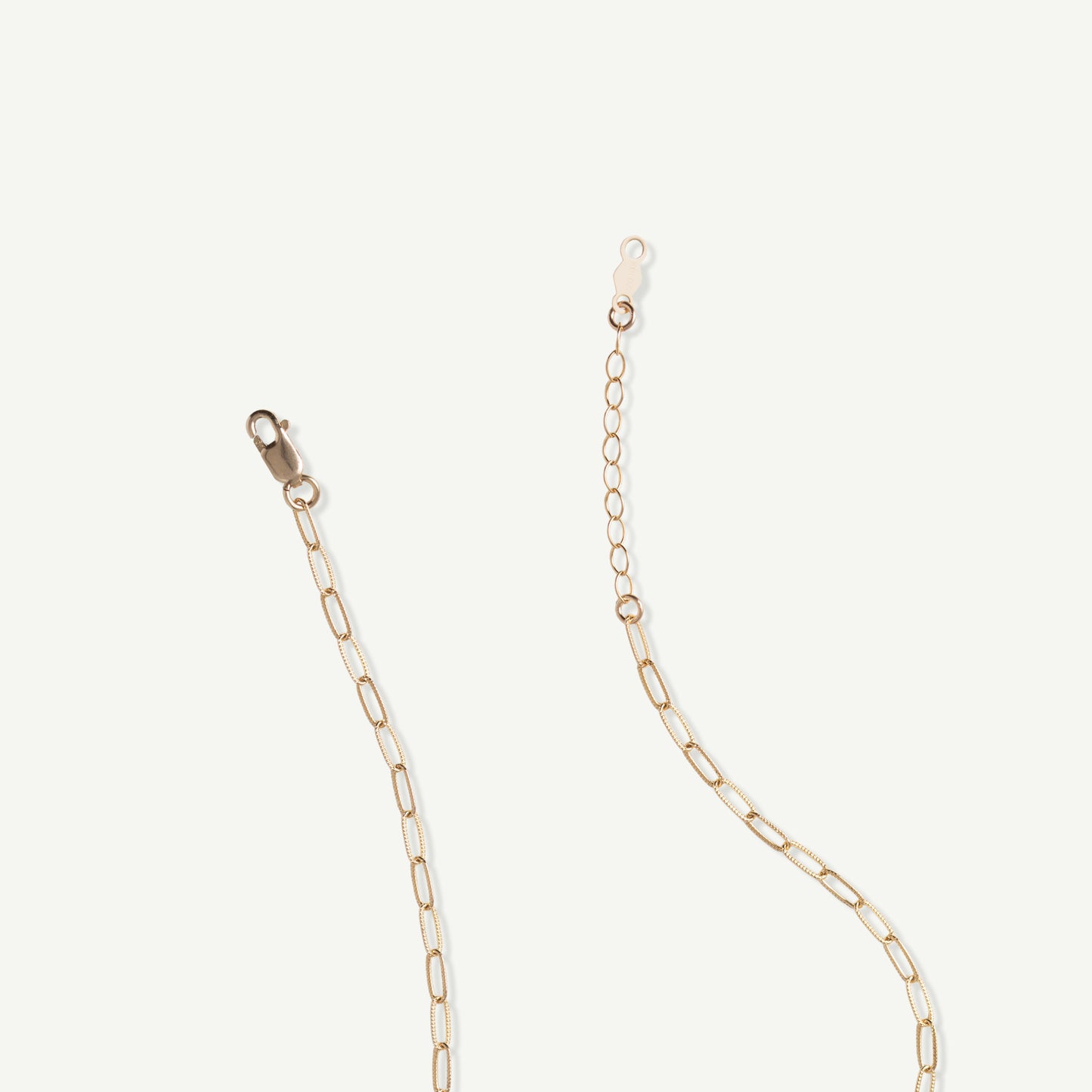 Paperclip Chain Anklet