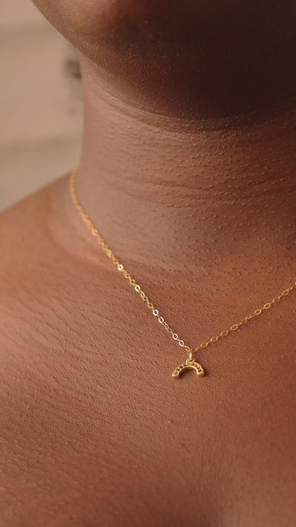 LucyKitty Gold Filled Pride Necklace