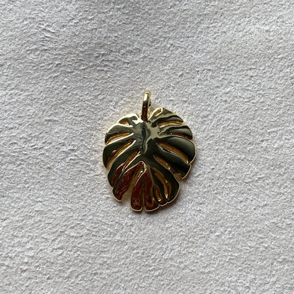 Monstera Charm