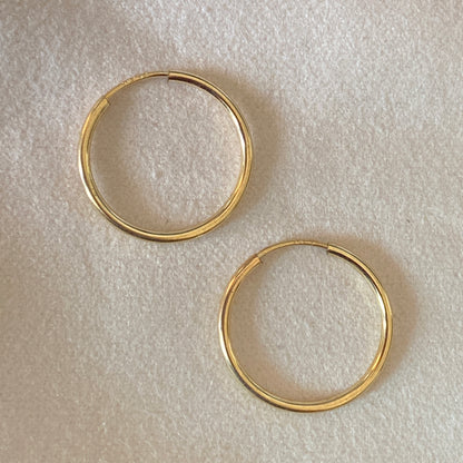 Aura Small Hoop Earrings